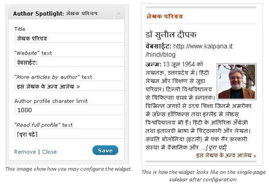 Author Profile Wordpress Widget
