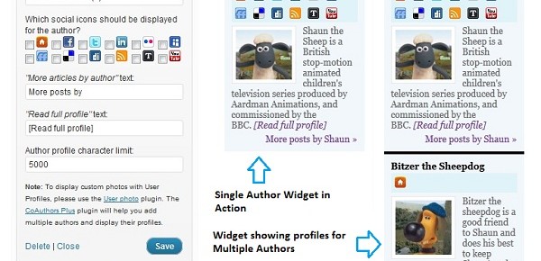 Author Spotlight Wordpress Widget